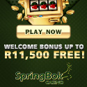 Springbok Casino