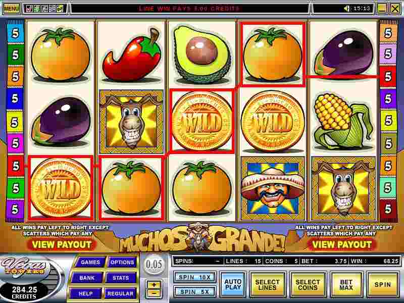 Winning screenshot for Muchos Grande